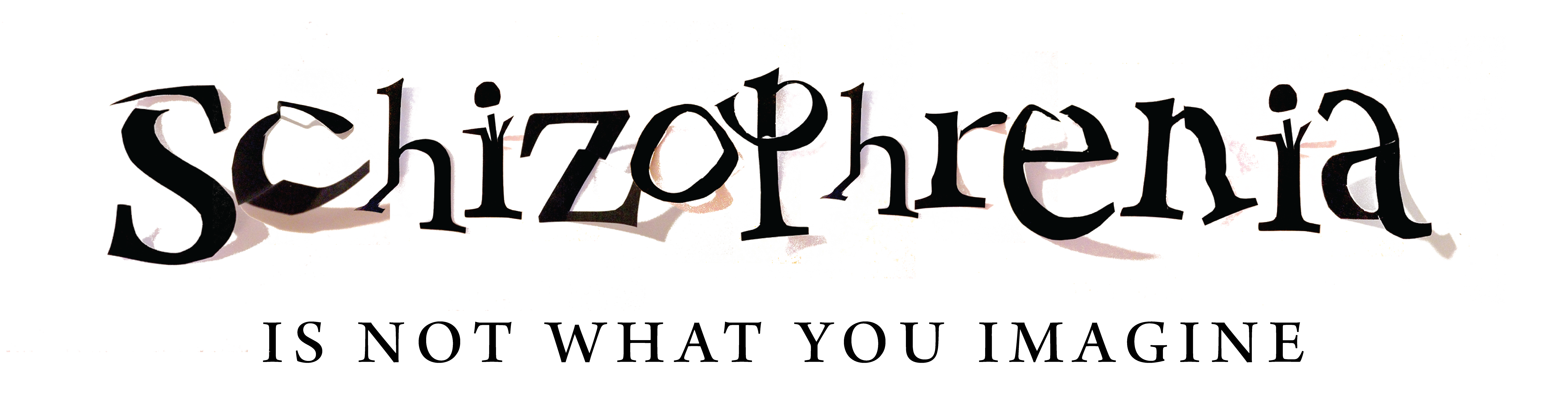 schiztype
